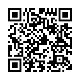 qrcode:https://taxifilm.de/article3.html